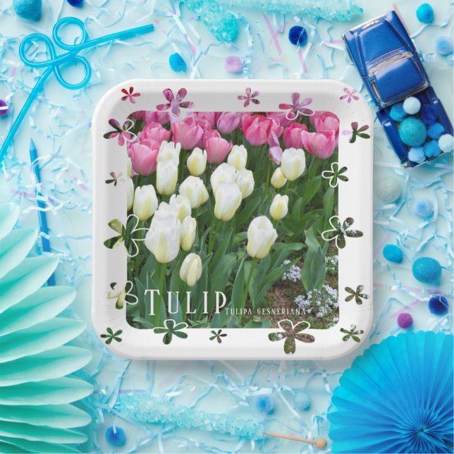 Tulip Pappteller (Party)