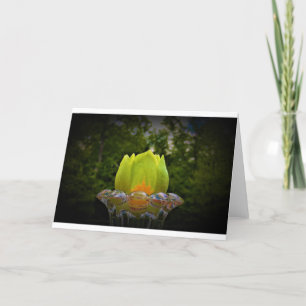 Tulip Poplar Blossom, Karte