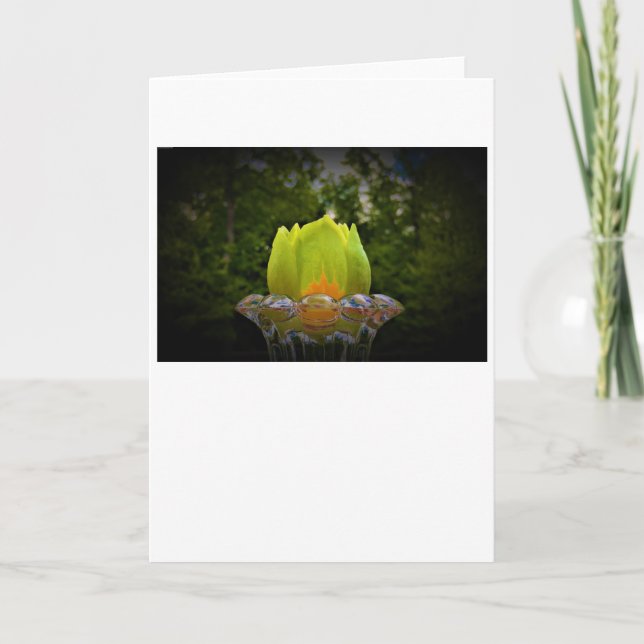 Tulip Poplar Blossom, Karte (Vorderseite)