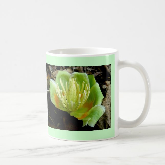 Tulip Poplar Blume Cup Tasse (Rechts)