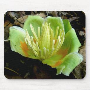 Tulip Poplar Blume Mousepad