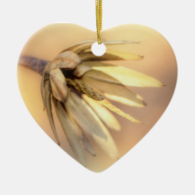 Tulip Poplar Empty Seed Pod Keramikornament (Vorne)