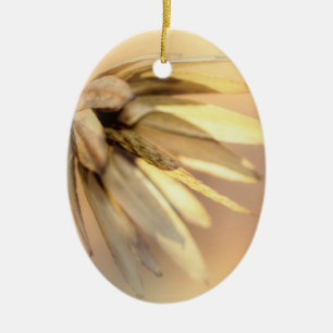 Tulip Poplar Empty Seed Pod Keramikornament