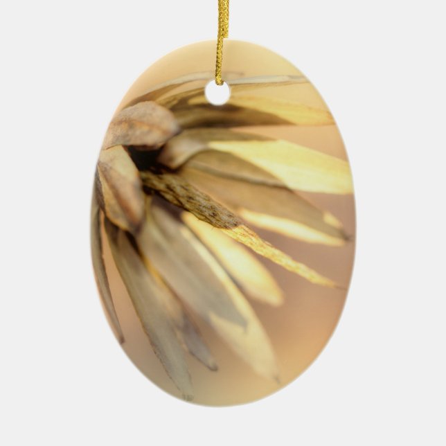 Tulip Poplar Empty Seed Pod Keramikornament (Vorne)