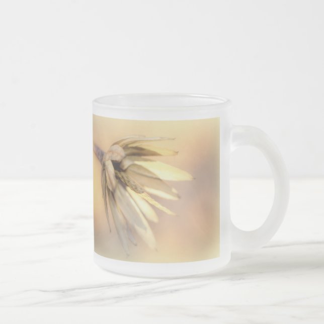 Tulip Poplar Empty Seed Pod Mattglastasse (Rechts)