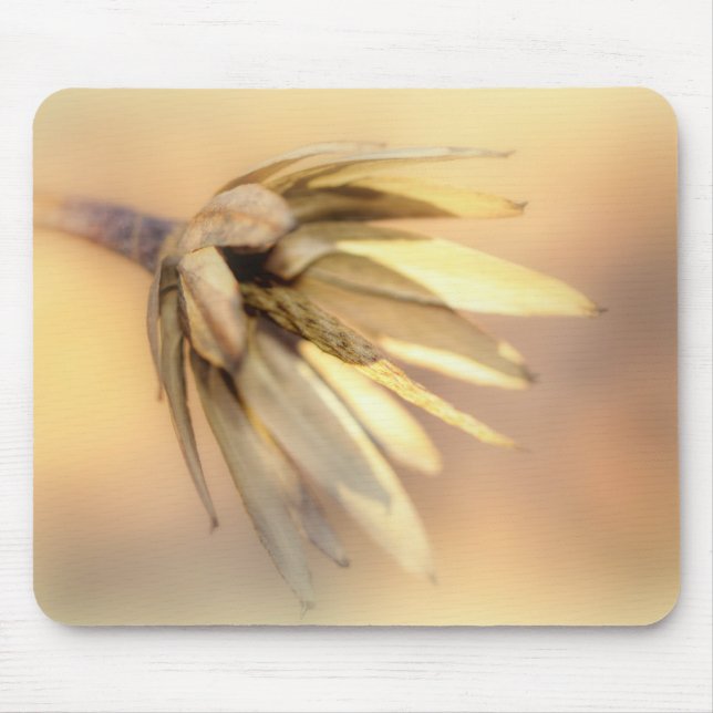 Tulip Poplar Empty Seed Pod Mousepad (Vorne)