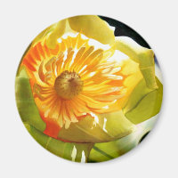 "Tulip Poplar" Gelbe Blume Wasserfarbe
