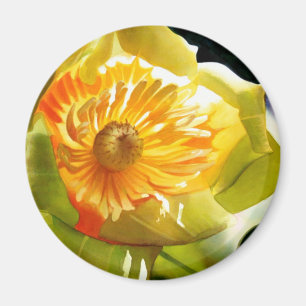 "Tulip Poplar" Gelbe Blume Wasserfarbe Magnet