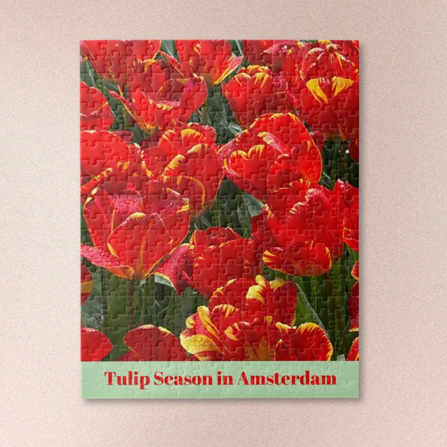 Tulip-Saison in Amsterdam Puzzle (Text may be edited or removed.)