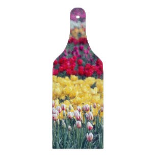 Tulip-Schau-Garten im Skagit-Tal, Schneidebrett