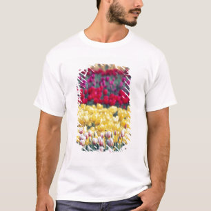 Tulip-Schau-Garten im Skagit-Tal, T-Shirt