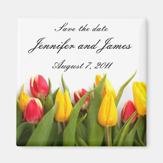 Tulip Speichern des Datumsfensters Magnet