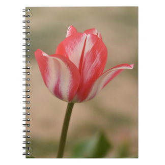 Tulip Spiral Notebook/Journal Notizblock