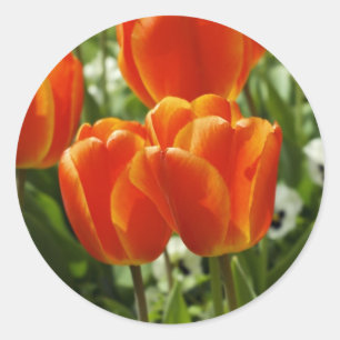 Tulip Sticker