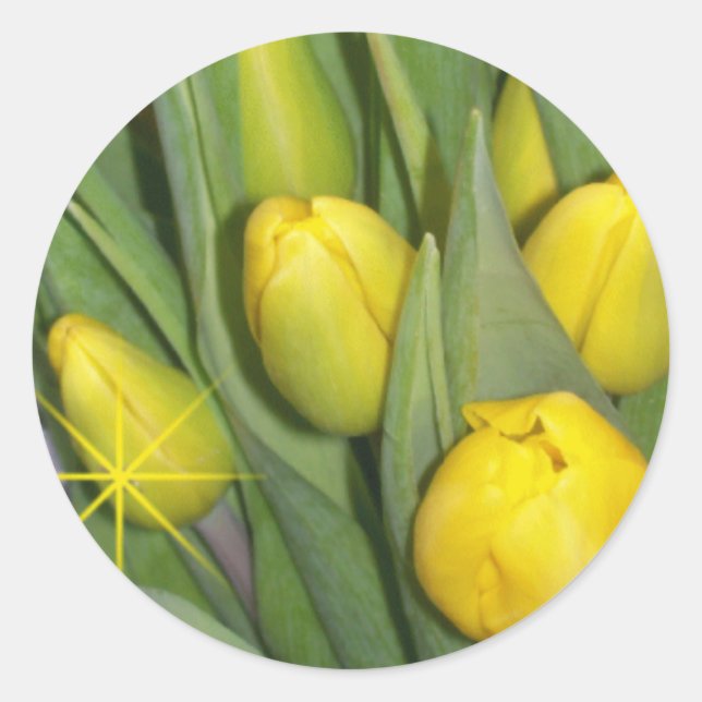 Tulip Sticker (Vorderseite)