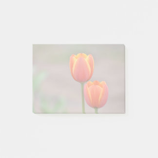 Tulip Sticky Notes Post-it Klebezettel