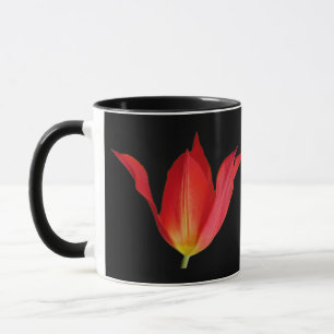 Tulip Tasse