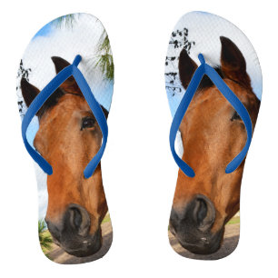 Tulip The Brown Bay Horse, Blue Flip Flops