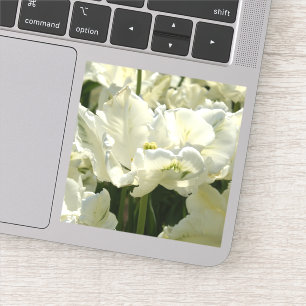 Tulip the white aufkleber