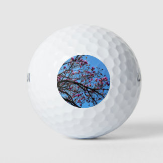 Tulip Tree in Bloom Golfball