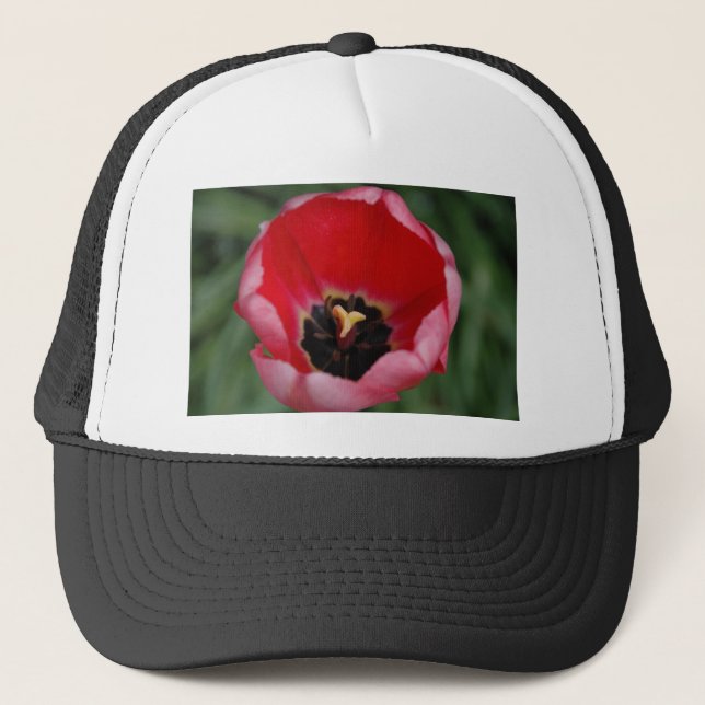Tulip Truckerkappe (Vorderseite)