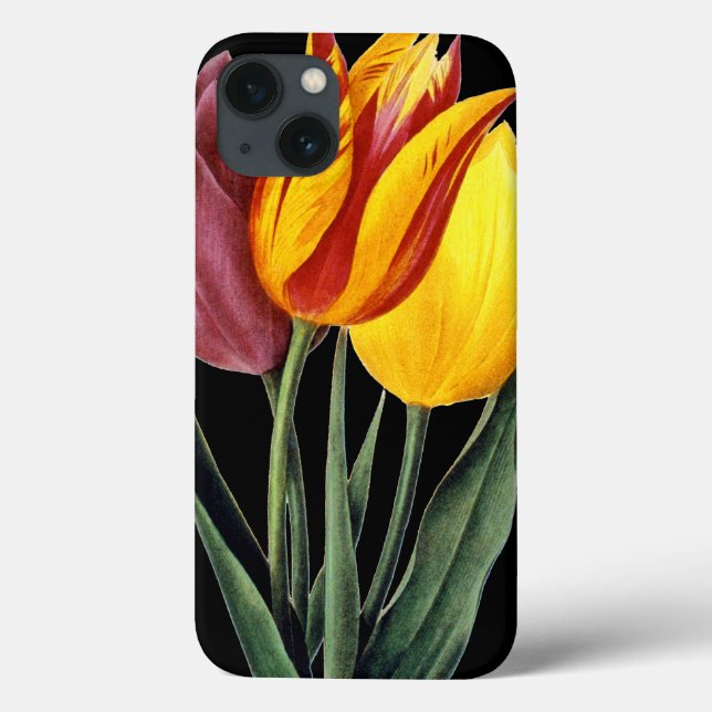 Tulip (Tulipa Gesneriana) Case-Mate iPhone Hülle (Rückseite)