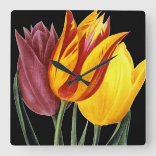 Tulip (Tulipa Gesneriana) Quadratische Wanduhr