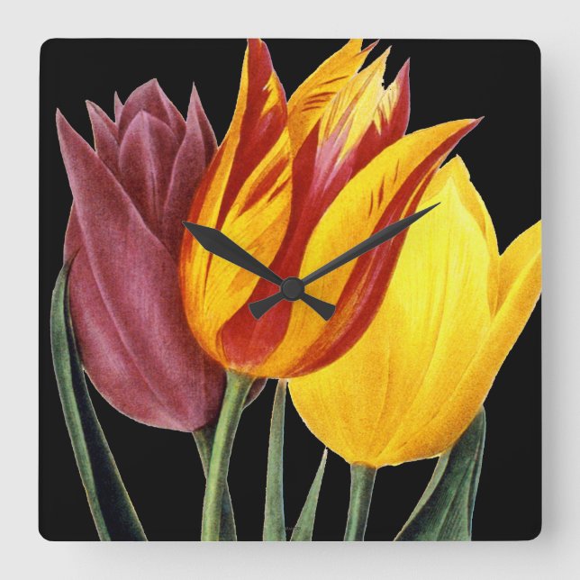 Tulip (Tulipa Gesneriana) Quadratische Wanduhr (Vorderseite)