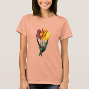 Tulip (Tulipa Gesneriana) T-Shirt