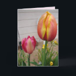 Tulip Tulips Red Pink Blume Floral Geburtskarte Karte<br><div class="desc">Tulip Tulips Red Pink Blume Floral Geburtstagskarte. Entworfen aus einem meiner ursprünglichen Blumengartenfotos & meine ursprüngliche Schrift,  genießen Sie!</div>