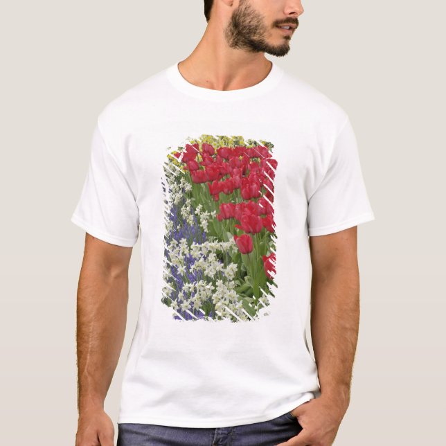 Tulip und daffodischer Garten, Keukenhof Gardens, T-Shirt (Vorderseite)
