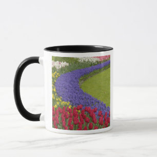Tulip und Grape Hyacinth und daffodischer Garten, Tasse