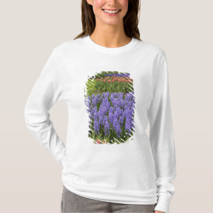 Tulip und Hyacinth Garten, Keukenhof Gardens, T-Shirt