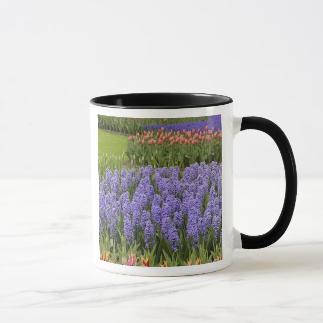 Tulip und Hyacinth Garten, Keukenhof Gardens, Tasse (Rechts)