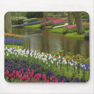 Tulip und Hyazinth Garten, Keukenhof Gardens, 2 Mousepad