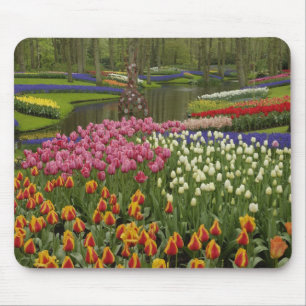 Tulip und Hyazinth Garten, Keukenhof Gardens, Mousepad