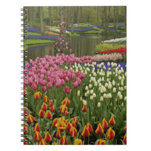 Tulip und Hyazinth Garten, Keukenhof Gardens, Notizblock