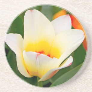Tulip Untersetzer
