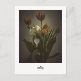 "tulip" von Heidi Rondak Fotografy Postkarte