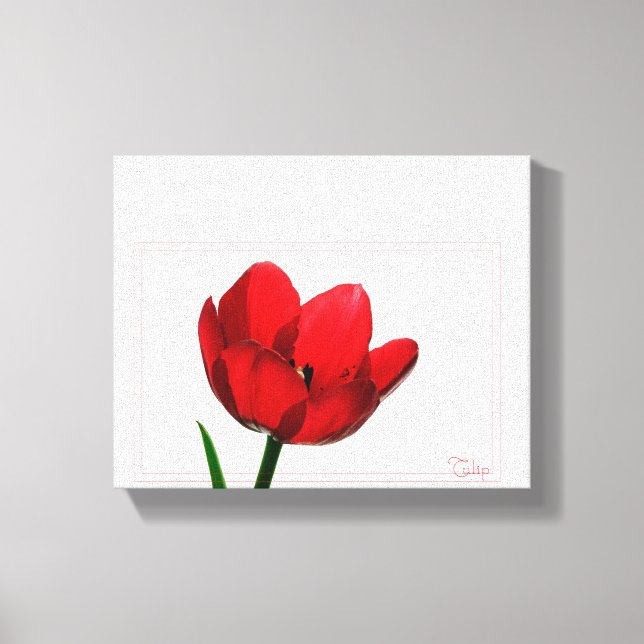 Tulip Wrapped Canvas Leinwanddruck (Vorderseite)