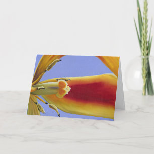Tulipe Arabeske - Kunst-Karte Karte