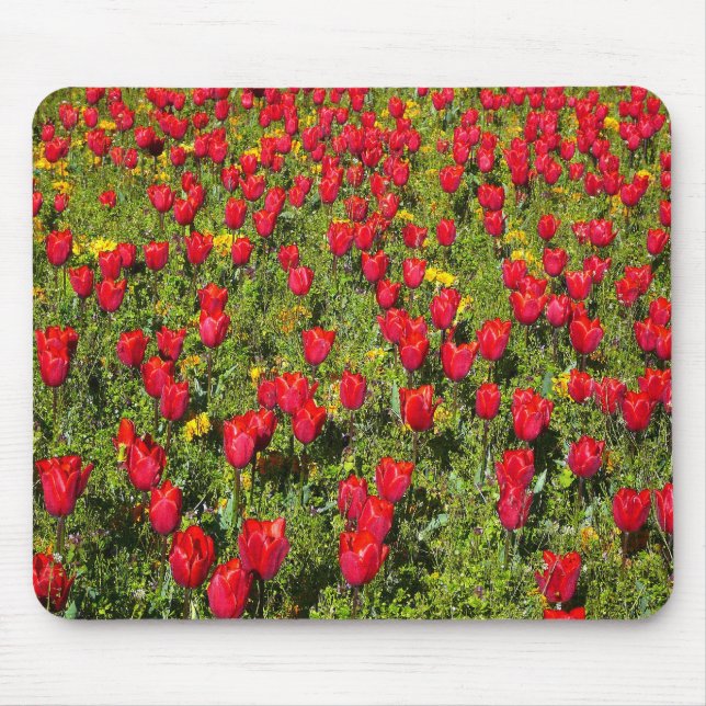 Tulipenbett Mousepad (Vorne)