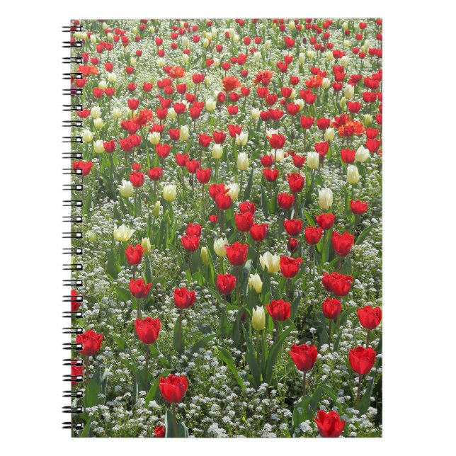 Tulipenbett Notizblock (Vorderseite)
