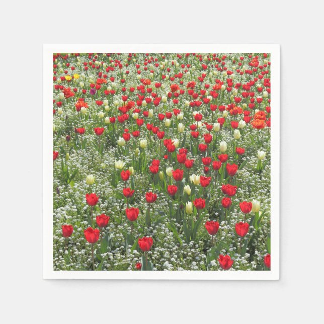 Tulipenbett Serviette (Vorderseite)
