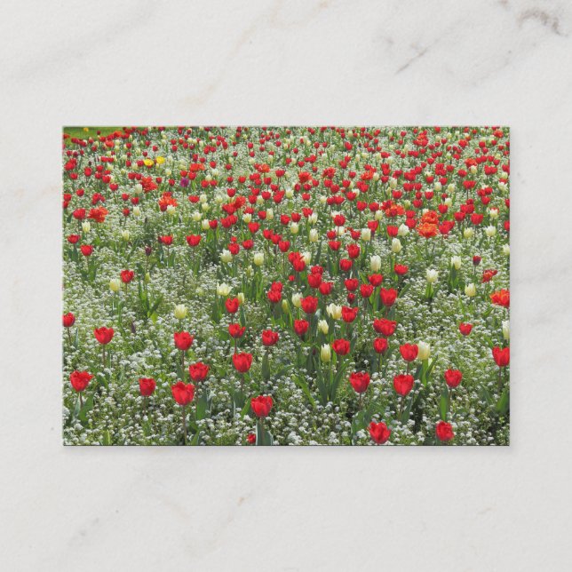 Tulipenbett Visitenkarte (Vorderseite)