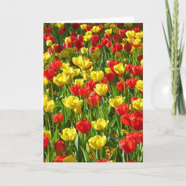 Tulipenmeer Karte (Vorderseite)