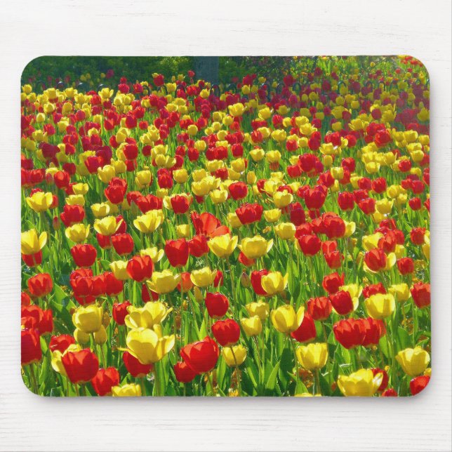 Tulipenmeer Mousepad (Vorne)