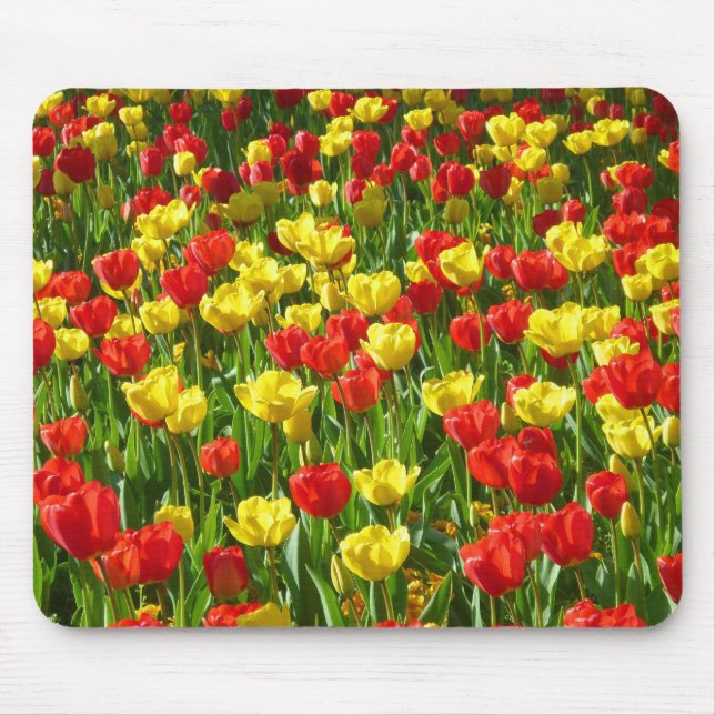 Tulipensee III Mousepad (Vorne)