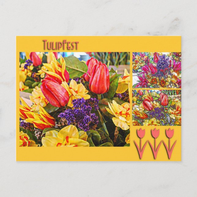 Tulipfest Tulpe-Postkarten-Frühlings-Blumen Postkarte (Vorderseite)