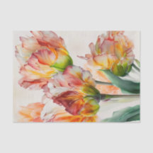 TULIPMANIA 4/6 blendende Papagei-Tulpendesigns